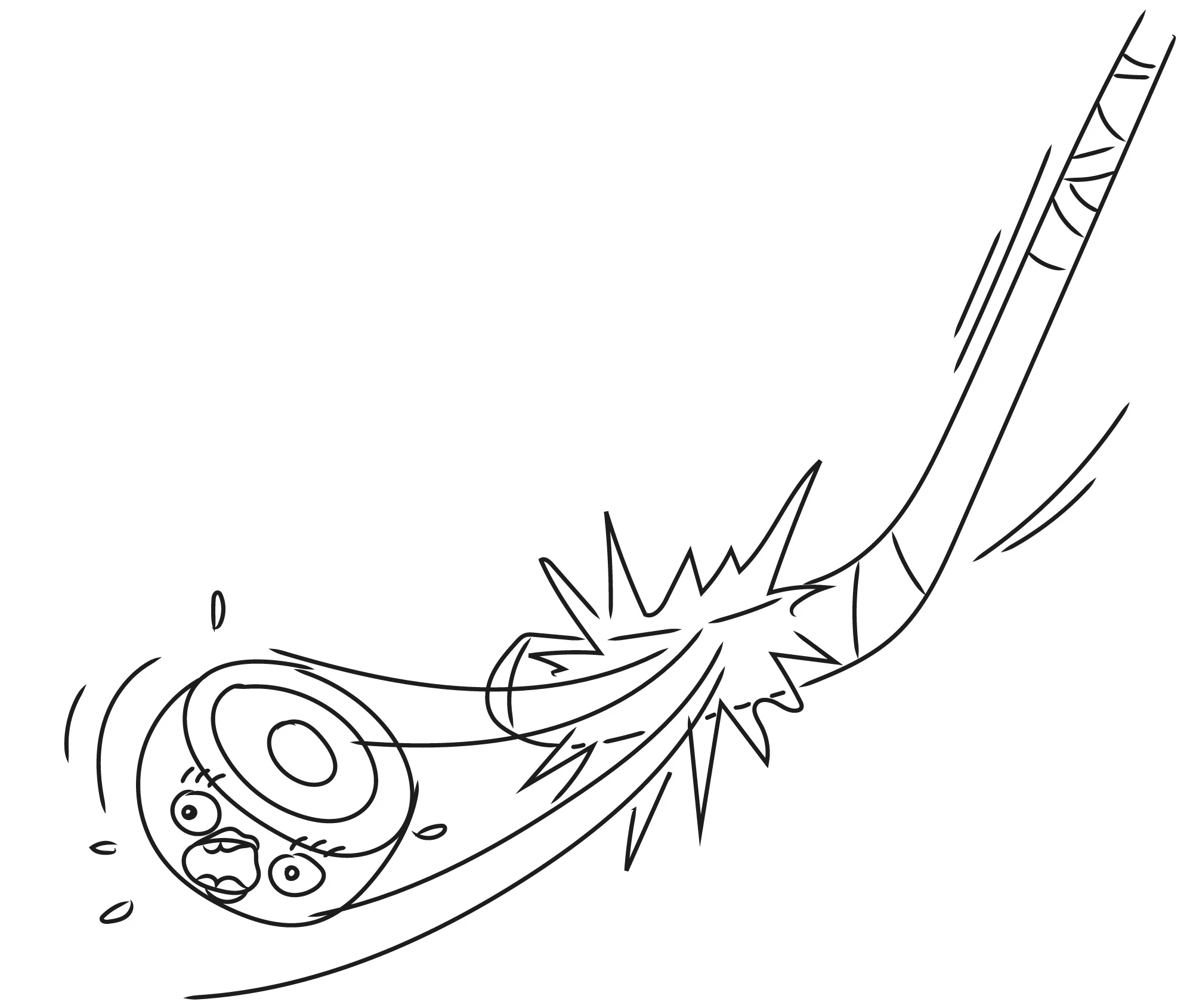 rp14_puck.jpg