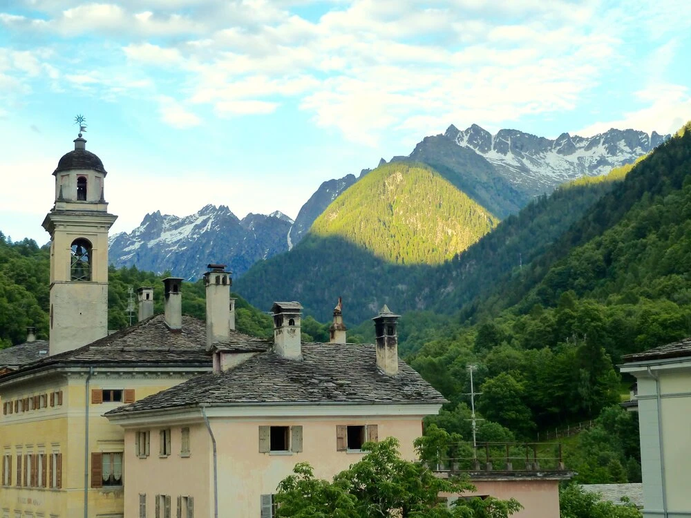 P1050174.jpg